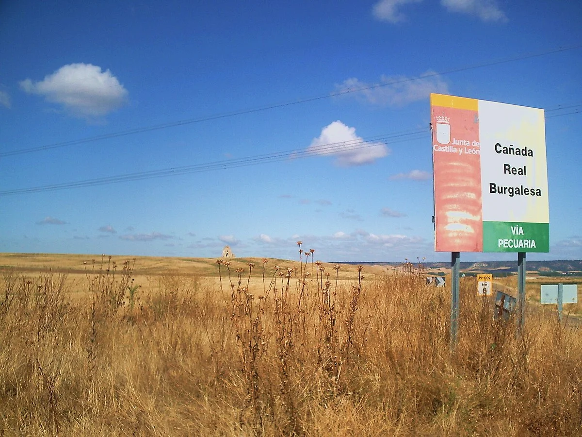 Señalización de Cañada Real en un camino rural