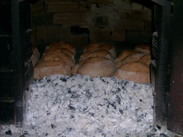 Hogazas de pan cociendose en un horno de lena tradicional